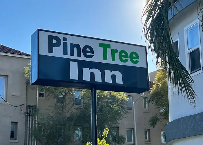 Pine Tree Inn