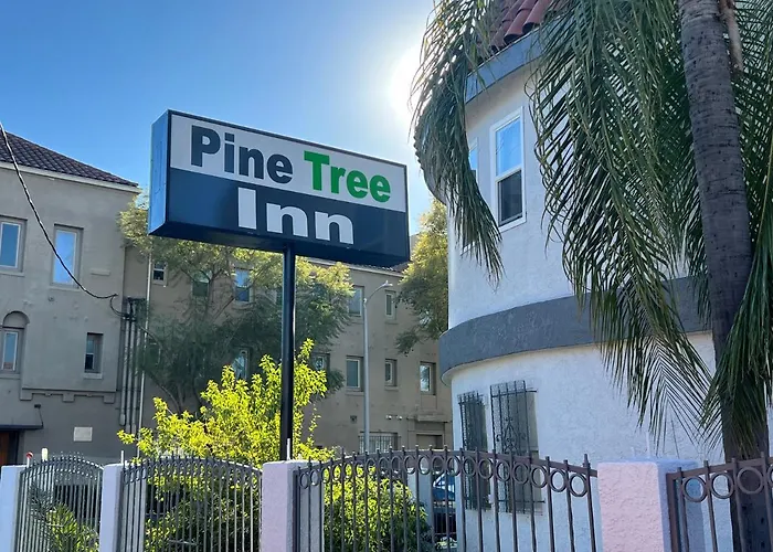 Pine Tree Inn