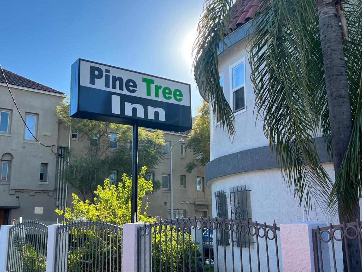 Pine Tree