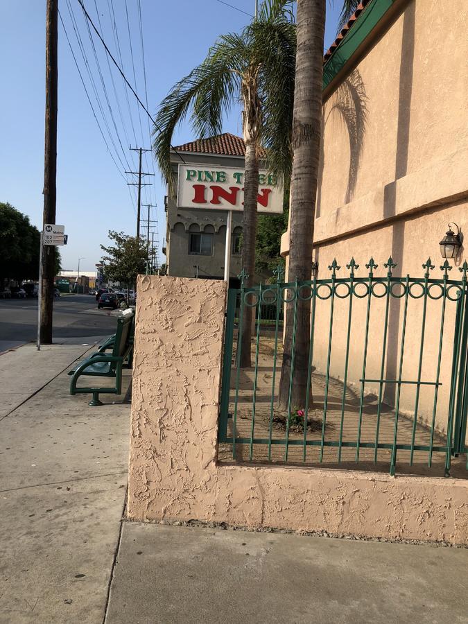 Pine Tree Motel